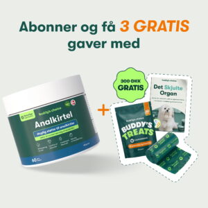 Analkirtel