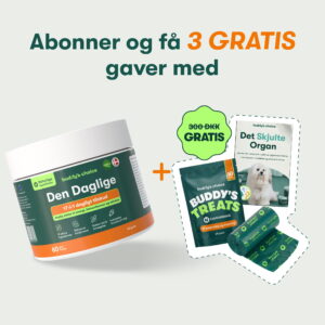 Den Daglige