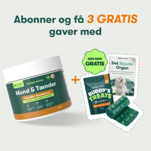 Mund & Tænder