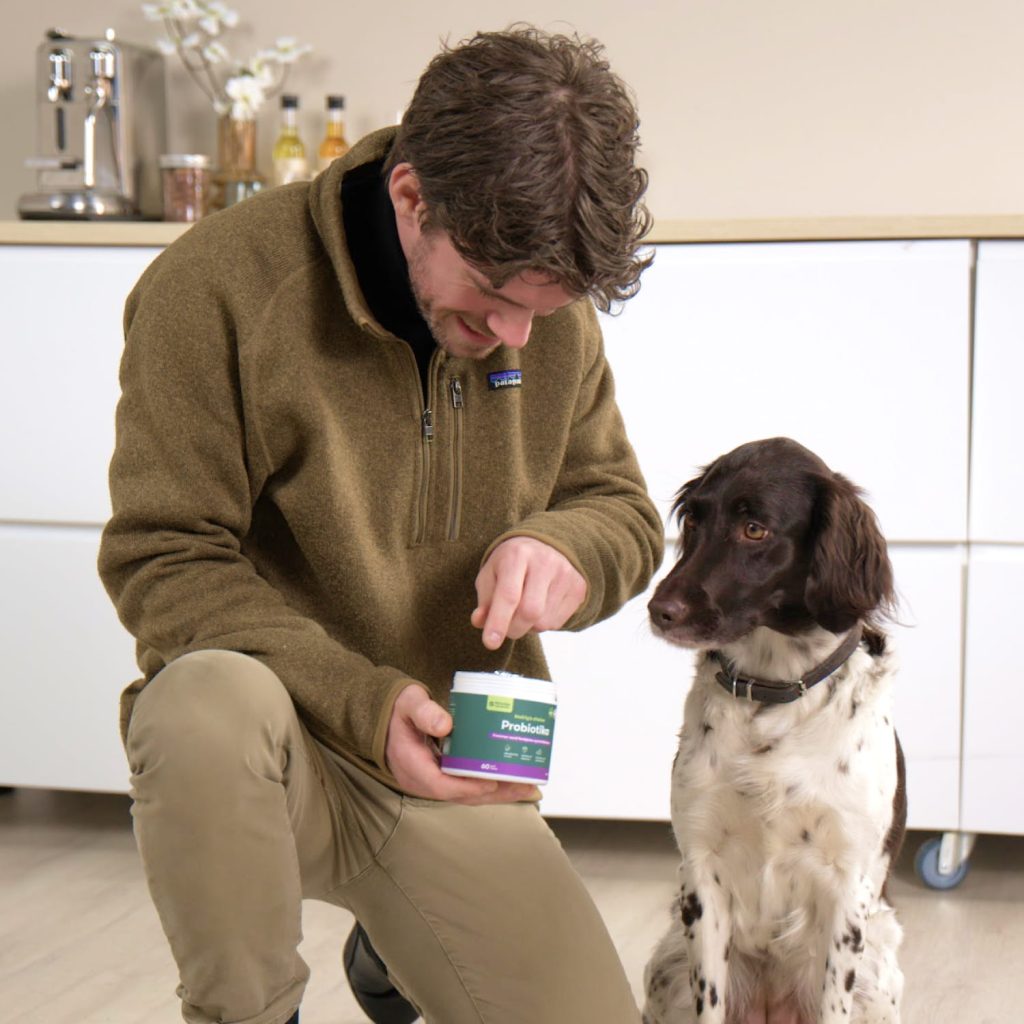 Løs afføring hos hunde – årsager og løsninger - Buddys Choice