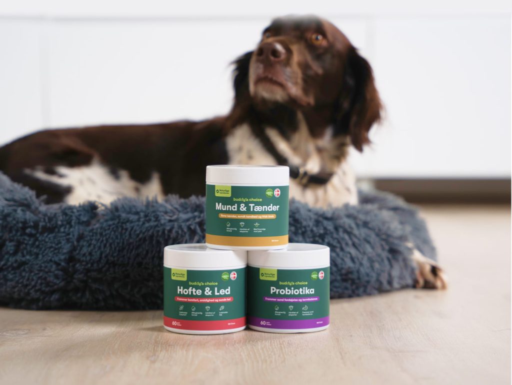Tre hundekosttilskud (Mund & Tænder, Hofte & Led, Probiotika) foran brun-hvid hund på blød hundeseng