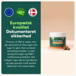 Den Daglige