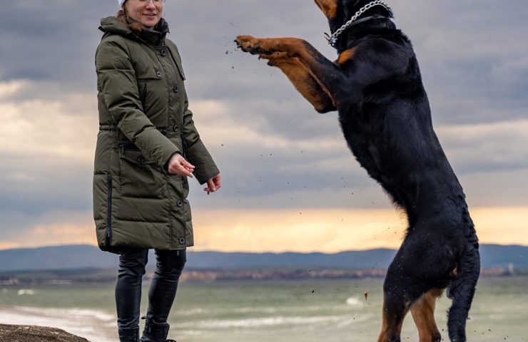 Kvinde i grøn vinterjakke på strand kaster pind, stor hund springer op for at gribe den.