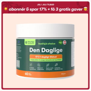 Den Daglige