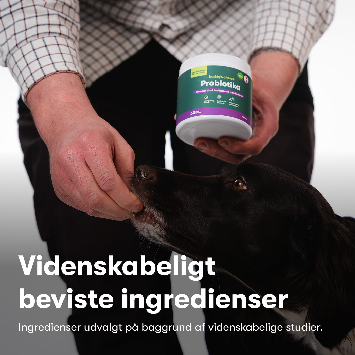 Probiotika+