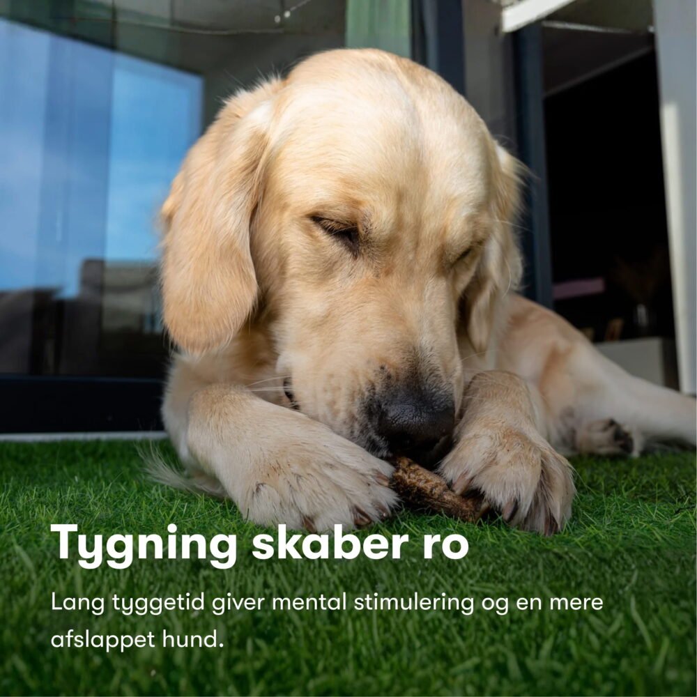 Buddy’s Kaninskind med Pels