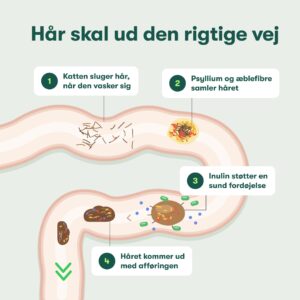 Hårboller