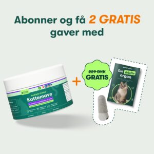 Kattemave