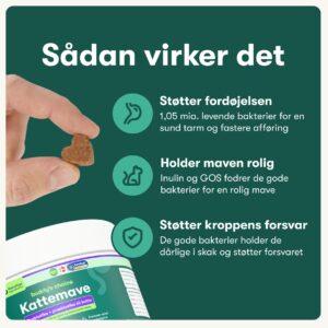 Kattemave
